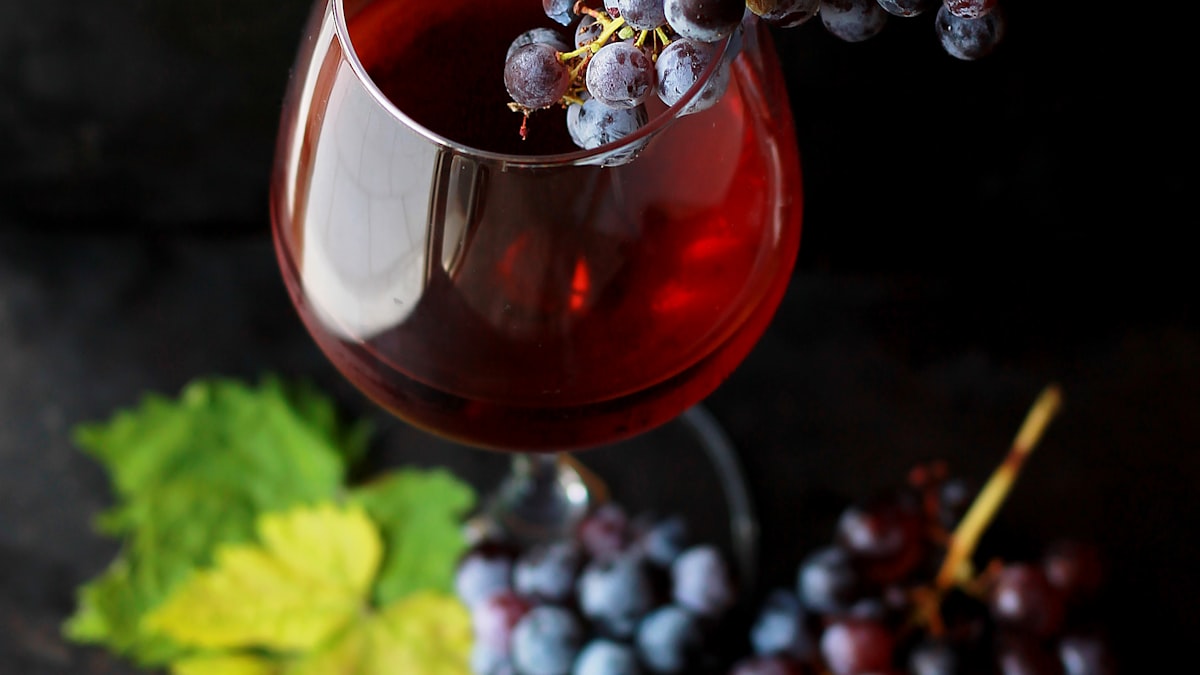 Canicules et sécheresse ont fait plonger les rendements dans de nombreux vignobles français. (Photo d'illustration)